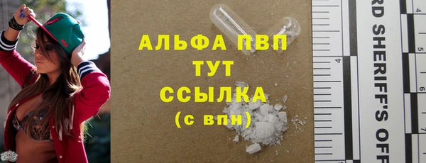 шишки Кукмор