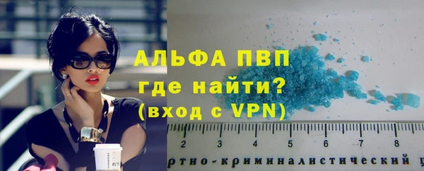 ешки Белокуриха