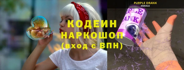 дмт Карпинск
