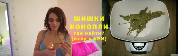 ешки Белокуриха
